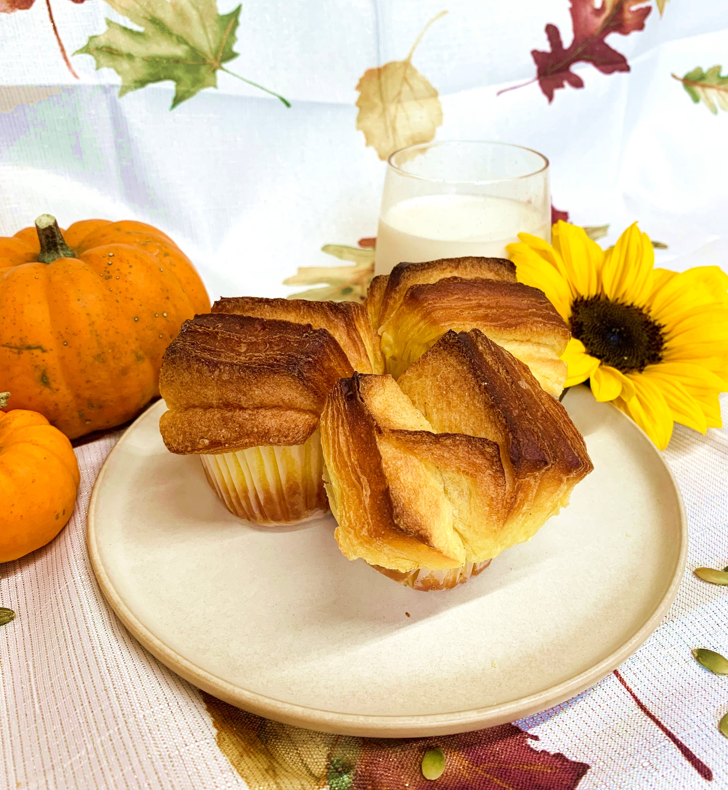 bunbun☆ Buns | Spicer's Bakery